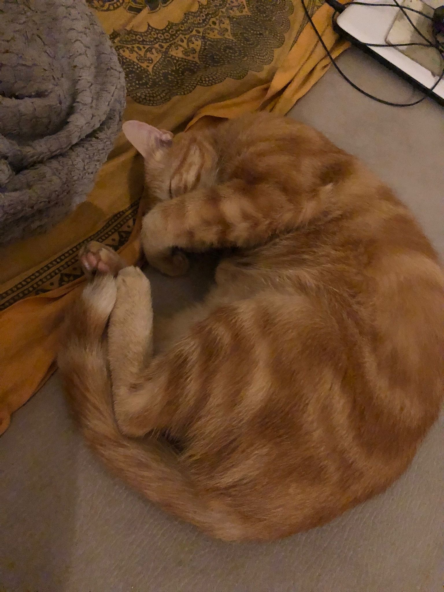 Profil de Iverson, 20 ans, Rencontre Mature à Vulcan