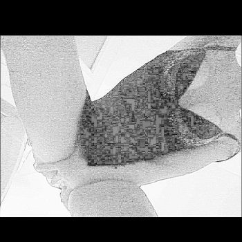 Profil de Caroll, 40 ans, Rencontre Mature à Cap-Chat