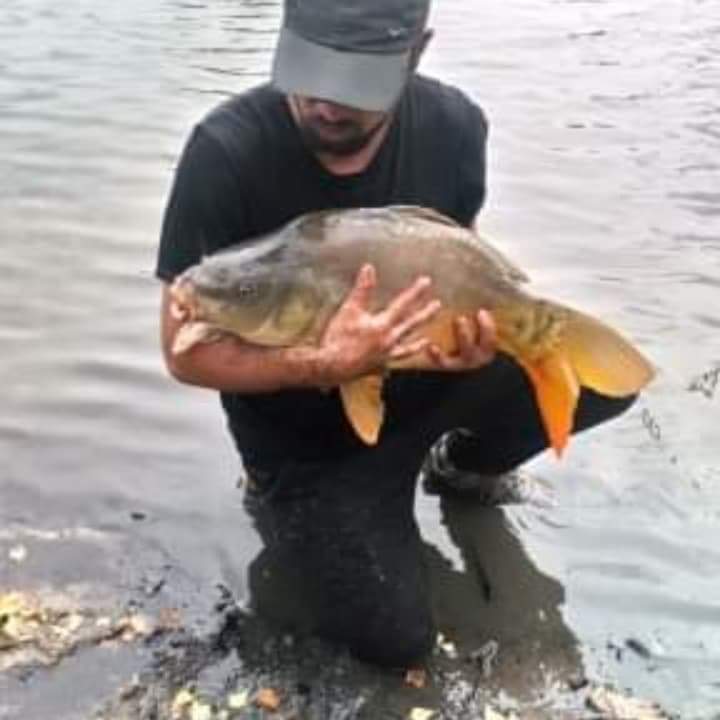 Profil de Dawud, 39 ans, Rencontre Mature à Andrew