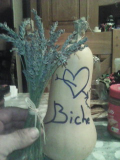 Profil de Zénon, 55 ans, Rencontre Mature à Pond Inlet