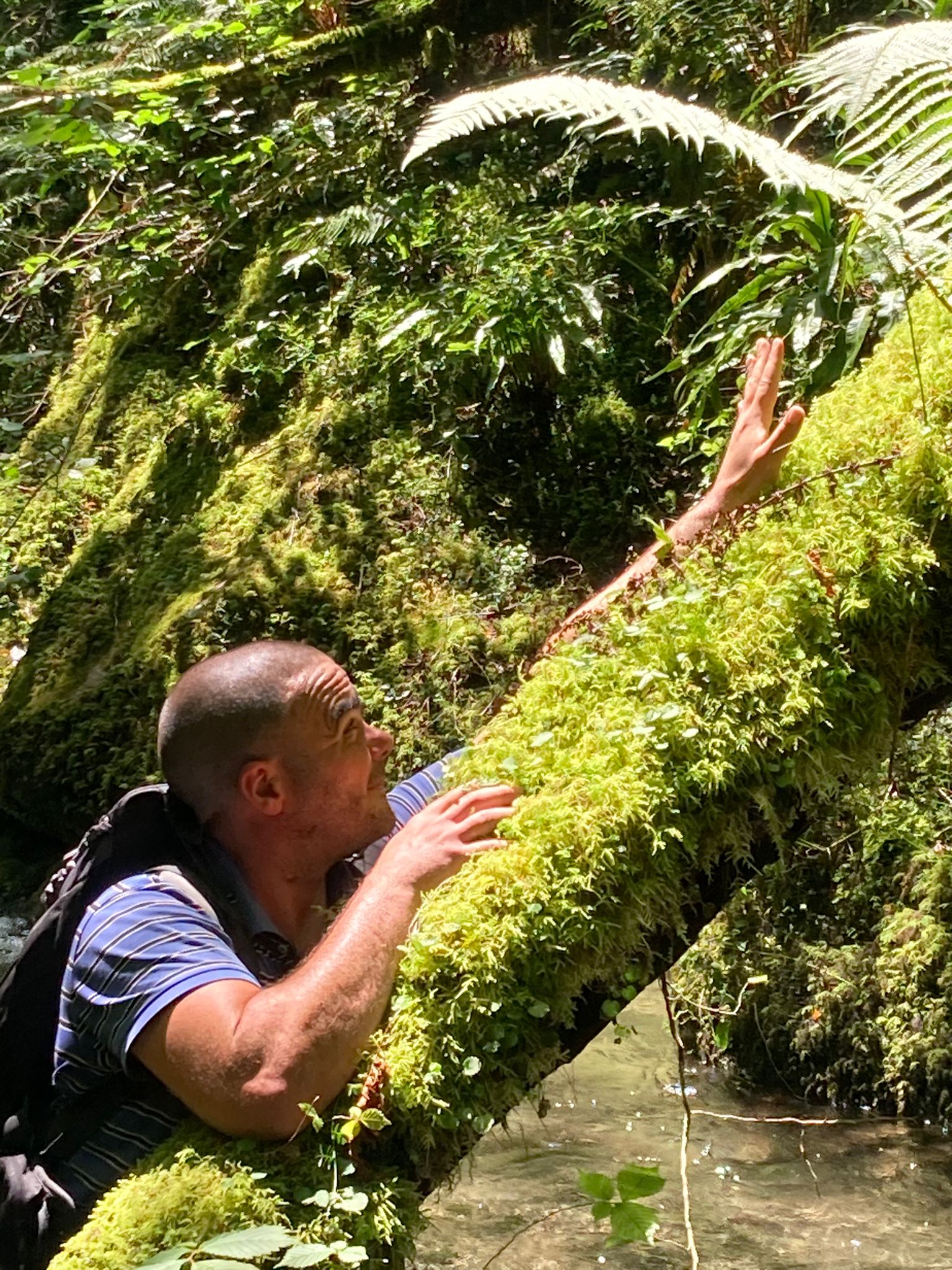 Profil de Moustapha, 38 ans, Rencontre Mature à Halbrite