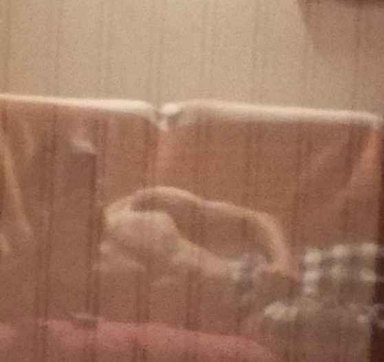 Profil de Riadh, 23 ans, Rencontre Mature à Canso