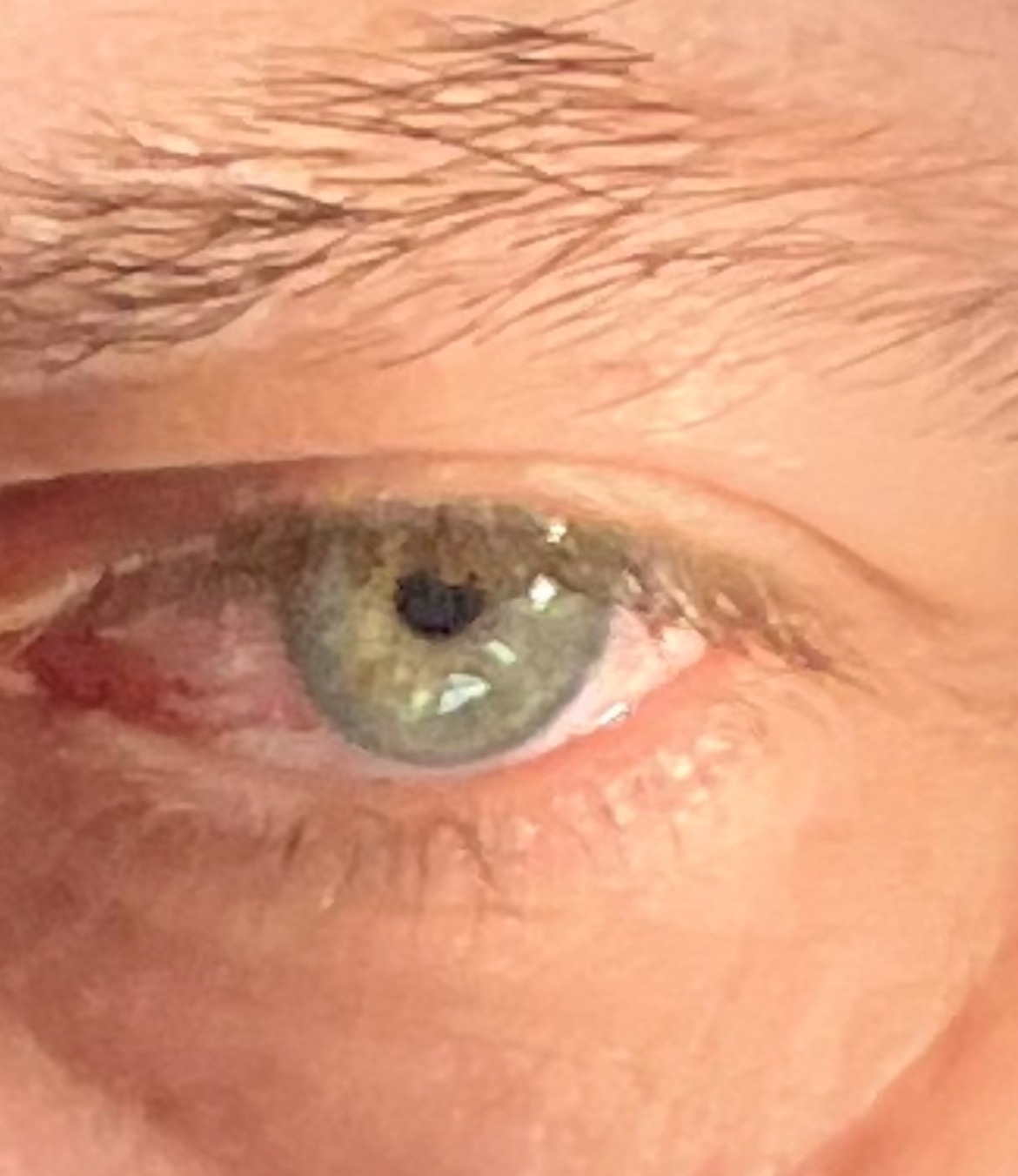 Profil de Nadjib, 51 ans, Rencontre Mature à Bradwell