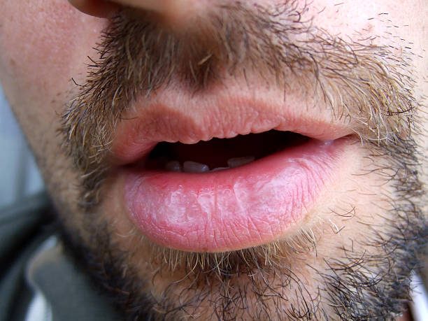 Profil de Nassib, 31 ans, Rencontre Mature à Melbourne