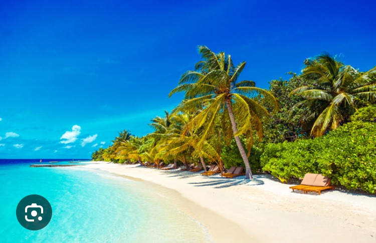 Profil de Rasim, 47 ans, Rencontre Mature à Saint-Athanase